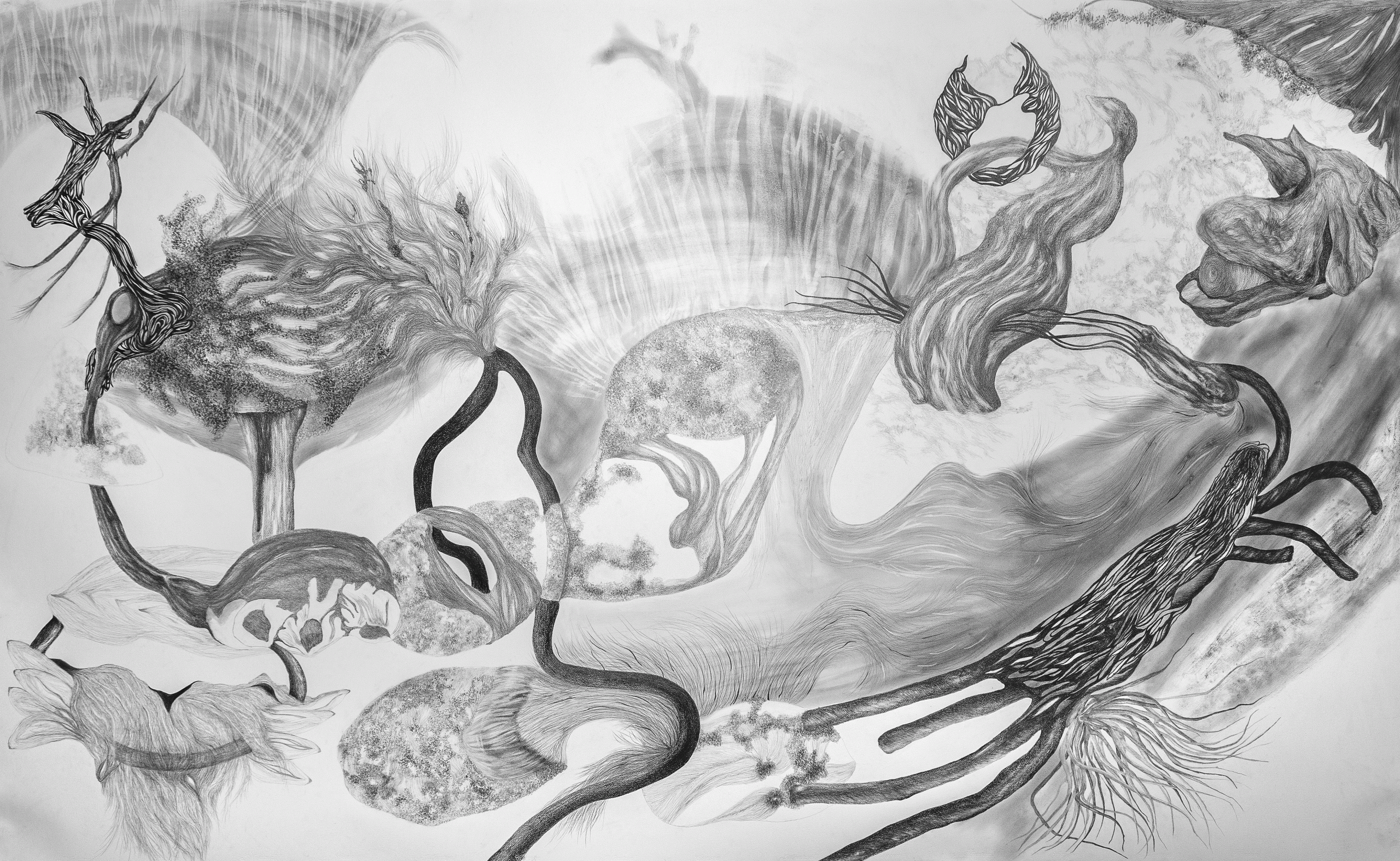 MIGRACIONES MATERIALES